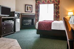 Comfort Suites Canton - Detroit