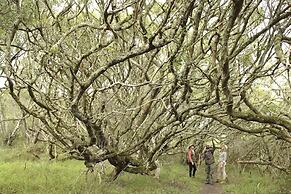 Grootbos Nature Reserve
