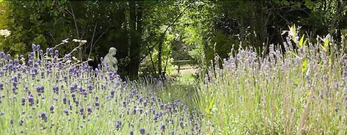 Woodlands Lodge Hotel