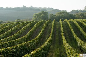 Tenuta Santi Giacomo e Filippo