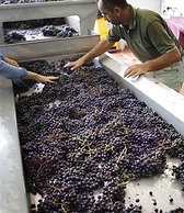 Tenuta Santi Giacomo e Filippo