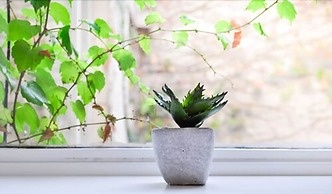 Maitre Hotel Boutique