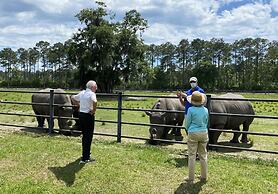 Comfort Suites Kings Bay Naval Base Area