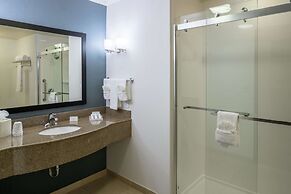 Hilton Garden Inn DFW North Grapevine