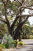 Robetown Motor Inn & Apartments