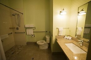 Holiday Inn Express Hotel & Suites Atlanta East - Lithonia by IHG