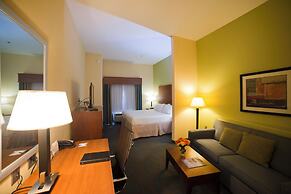 Holiday Inn Express Hotel & Suites Atlanta East - Lithonia by IHG