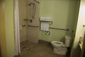 Holiday Inn Express Hotel & Suites Atlanta East - Lithonia by IHG