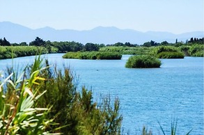 ibis Styles Perpignan Canet-en-Roussillon