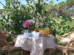 Club Hotel Ragno D'Oro