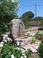 Club Hotel Ragno D'Oro