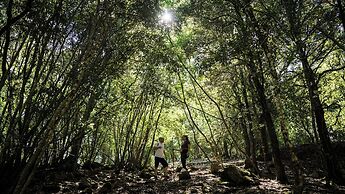 Rosewood Castiglion del Bosco