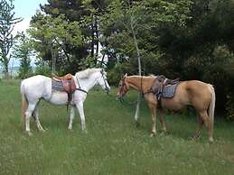 Laticastelli Country Relais