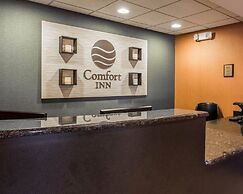 Comfort Inn & Suites Lumberton Central I-95