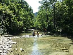Bio Agriturismo il Vigno