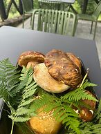 Bio Agriturismo il Vigno