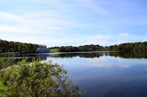 Best Western Plus Saint John Hotel & Suites