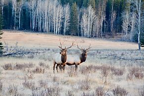 Johnston Canyon Lodge and Bungalows