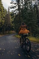 Johnston Canyon Lodge and Bungalows