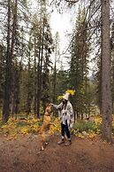 Johnston Canyon Lodge and Bungalows