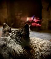 Johnston Canyon Lodge and Bungalows