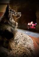 Johnston Canyon Lodge and Bungalows