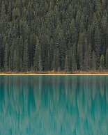 Johnston Canyon Lodge and Bungalows