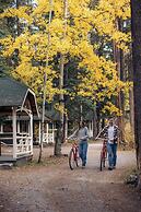 Johnston Canyon Lodge and Bungalows
