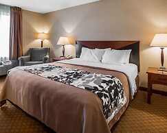 Rodeway Inn & Suites
