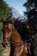 Hotel Berke Ranch & Nature - Special Class