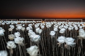 Thunderbird Resorts - Poro Point