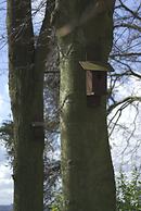 Pitbauchlie House Hotel, Sure Hotel Collection by BW