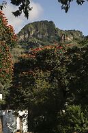 Posada del Tepozteco - Hotel & Gallery