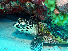 Likuliku Lagoon Resort - Adults Only