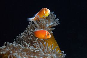 Likuliku Lagoon Resort - Adults Only