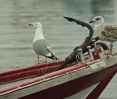 Nuevo Norat Sanxenxo