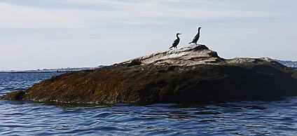 Nuevo Norat Sanxenxo