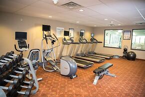 Holiday Inn Express Hotel & Suites Detroit-Novi by IHG