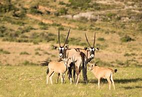 Moolmanshoek Private Game Reserve