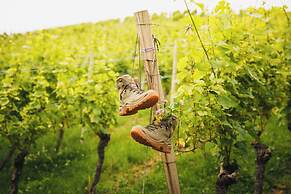 Hotel Ritter Durbach