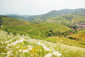 Hotel Ritter Durbach