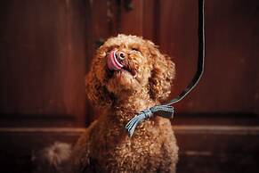 Hotel Ritter Durbach