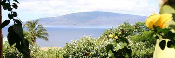 Ho'oilo House
