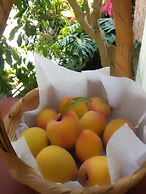 Hotel La Casona Breakfast & Wellness Center