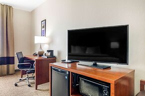 Comfort Inn Near UNT