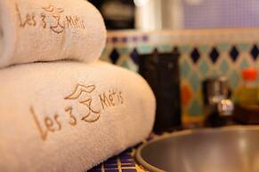 Guest House Les 3 Metis