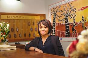 Guest House Les 3 Metis