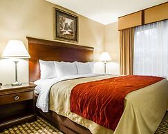 Comfort Inn & Suites Scarborough - Portland