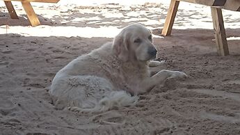 Aroa Beachside Resort