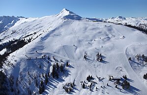 Angerer Alpine Suiten und Familienappartements Tirol